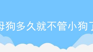 母狗多久就不管小狗了_梦见狗狗生了小狗小狗死了怎么办_小狗刚生下来就死了大狗会怎么样
