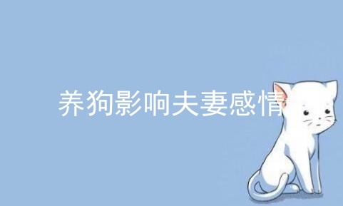 养狗影响夫妻感情_婆媳关系影响夫妻感情_珍惜夫妻感情的句子