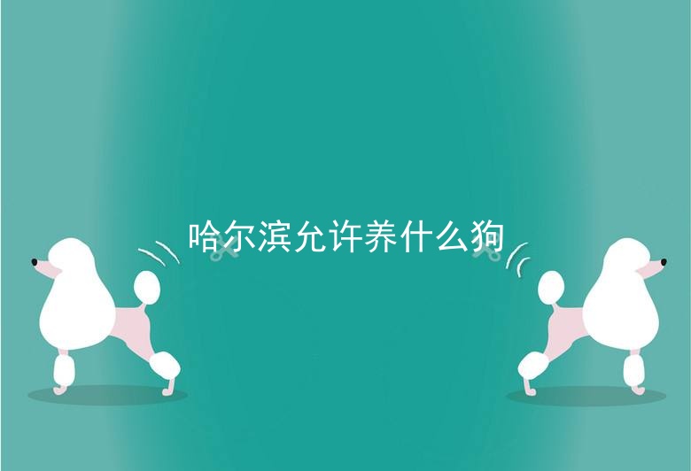哈尔滨允许养什么狗_2018哈尔滨禁养的狗品种_哈尔滨禁狗令2018