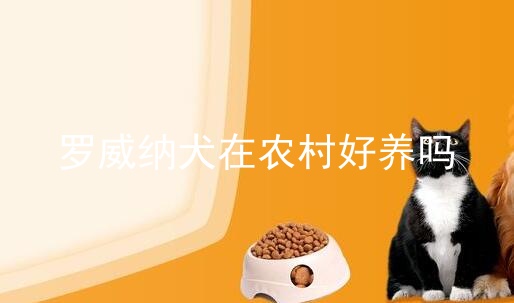 罗威纳犬在农村好养吗_罗威纳犬_罗威纳犬好养吗