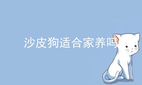 沙皮狗适合家养吗_沙皮狗缺点_沙皮狗的自愈能力强不强