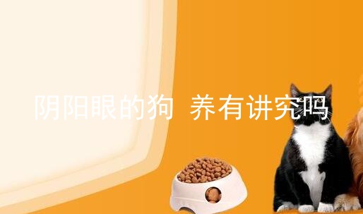 阴阳眼的狗养有讲究吗_猫阴阳眼吉利吗_阴阳眼哈士奇值钱吗