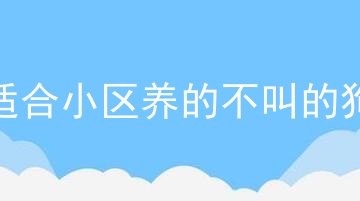 适合小区养的不叫的狗