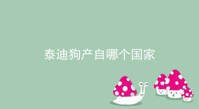 泰迪狗产自哪个国家_泰迪是哪个国家的狗_比熊是哪个国家的狗