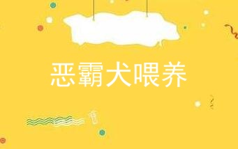 恶霸犬喂养