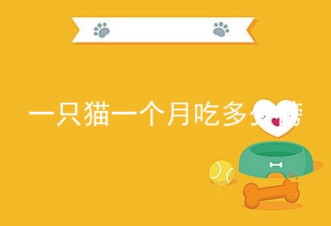 一只猫一个月吃多少磅_一只猫生骨肉喂养一个月的开销_猫粮排行榜