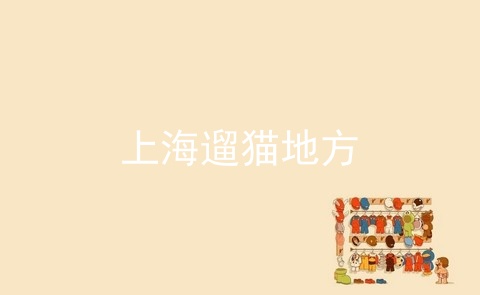 上海遛猫地方_上海流浪狗_上海领养吧