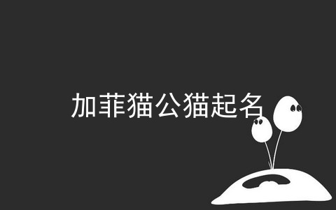 加菲猫公猫起名_加菲猫寿命_公猫不建议绝育