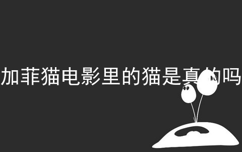 加菲猫电影里的猫是真的吗_加菲猫的眼睛是圆的好还是水滴好_加菲猫
