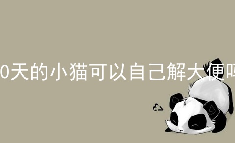 40天的小猫可以自己解大便吗_小猫正常的大便图片大全_出生不到20天的小猫 怎么养活