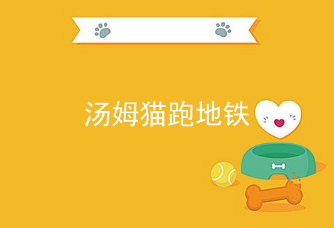 汤姆猫跑地铁_汤姆猫跑酷_汤姆猫炫跑下载安装