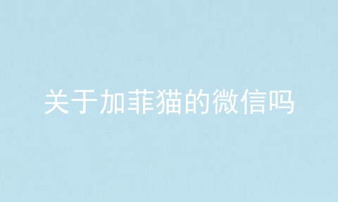 关于加菲猫的微信吗_微信加菲猫软件官网_好看的微信头像猫