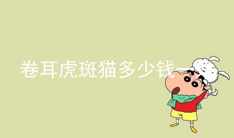 卷耳虎斑猫多少钱一只_美短虎斑多少钱一只_虎斑猫多少钱一只2018