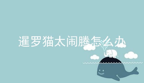 暹罗猫太闹腾怎么办_暹罗猫_暹罗