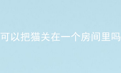 可以把猫关在一个房间里吗_小猫可以一直关在房间里吗_把猫关房间里会记仇吗
