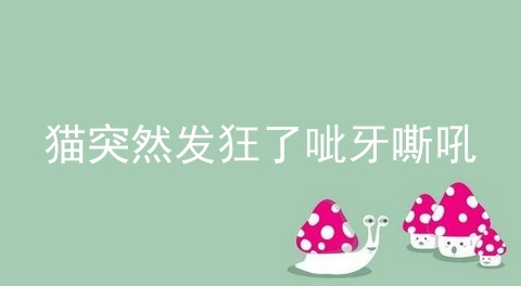 猫突然发狂了呲牙嘶吼_家里猫突然发狂咬人抓人_猫突然发疯咬人