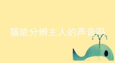猫能分辨主人的声音吗_猫的什么行为算是认主人_猫是如何辨别主人