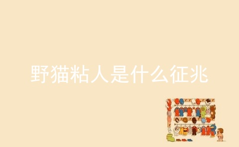 野猫粘人是什么征兆_公猫粘人是什么征兆_猫突然粘人预示什么