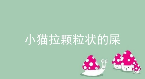 小猫拉颗粒状的屎_小猫正常的大便图片大全_猫屎正常图