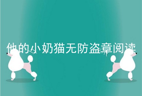 他的小奶猫无防盗章阅读_她的小奶猫全文无防盗免费阅读_他的小奶猫西西猫全文免费阅读