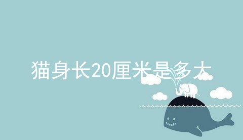 猫身长20厘米是多大_猫的身高_猫的速度