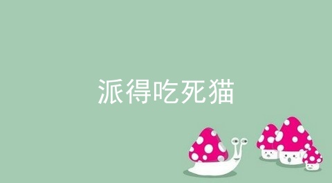 派得吃死猫_派得猫粮会吃死猫吗_派得猫粮