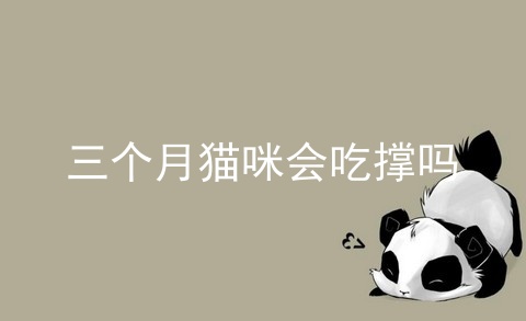 三个月猫咪会吃撑吗_猫咪吃撑了怎么办_猫咪吃撑了的症状