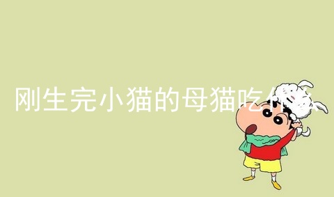 刚生完小猫的母猫吃什么_刚生小猫的母猫吃什么_刚生完的小猫会睁眼吗