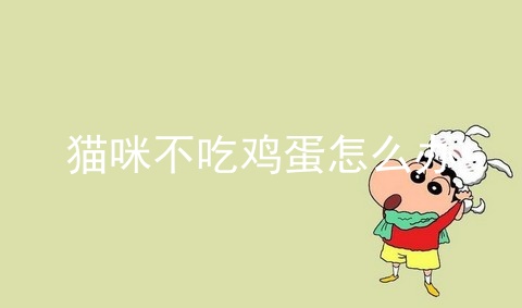 猫咪不吃鸡蛋怎么办_猫吃生鸡蛋还是熟鸡蛋_猫能吃鸡蛋吗