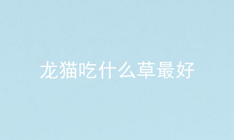 龙猫吃什么草最好_龙猫吃什么_龙猫能吃挂面吗