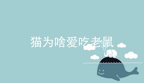 猫为啥爱吃老鼠_猫吃老鼠_猫为什么吃老鼠