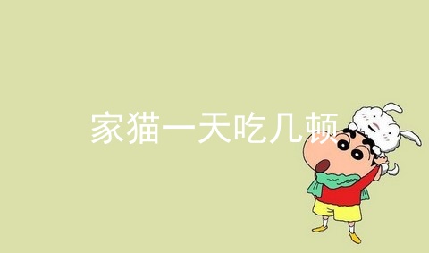 家猫一天吃几顿_成年猫最好一天吃3顿时间表_猫一天拉几次屎