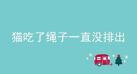 猫吃了绳子一直没排出_猫吃了绳子能排出吗_猫吃长绳子几天能排出