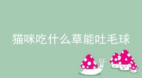 猫咪吃什么草能吐毛球_猫咪吐出的毛球图片_猫吐毛球吐出来样子