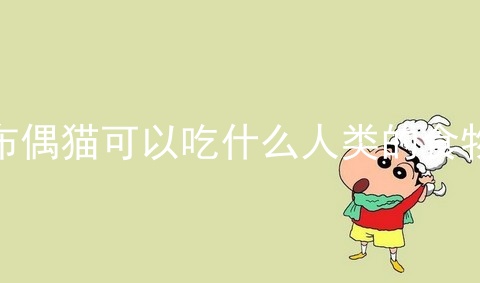 布偶猫可以吃什么人类的食物_布偶猫吃什么猫粮最好_养布偶猫最忌讳什么