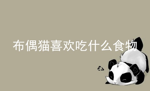 布偶猫喜欢吃什么食物_布偶猫喜欢吃什么_布偶猫