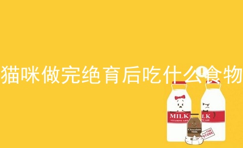 猫咪做完绝育后吃什么食物_猫做完绝育后会记恨主人多久_公猫绝育后一直不吃饭