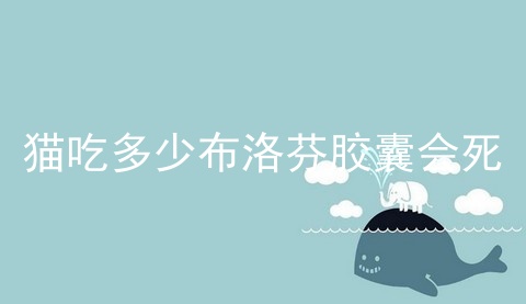猫吃多少布洛芬胶囊会死_布洛芬缓释胶囊_一个月吃一个布洛芬胶囊危害大吗