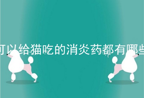 可以给猫吃的消炎药都有哪些_咽炎扁桃体消炎药哪些比较好_感冒咽喉疼消炎药吃那些好
