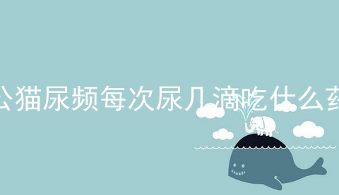 公猫尿频每次尿几滴吃什么药_公猫尿频每次尿几滴_猫咪尿频而且每次只尿一点