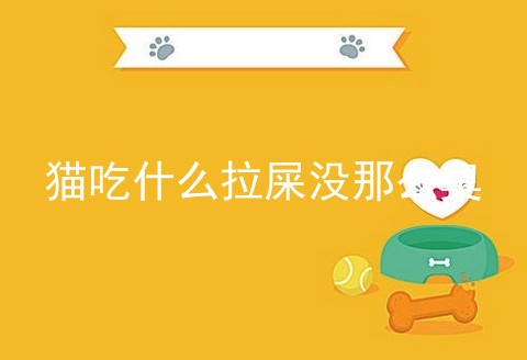猫吃什么拉屎没那么臭_猫屎臭怎么改善_猫拉的屎为什么很臭