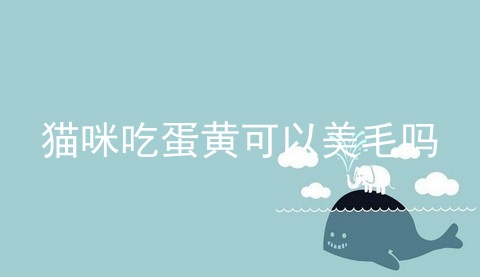 猫咪吃蛋黄可以美毛吗_猫可以吃蛋黄吗_猫咪每天吃一个蛋黄好不好