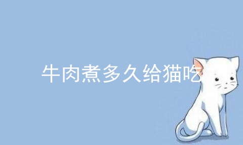 牛肉煮多久给猫吃_为什么不给猫吃熟牛肉_给猫吃的肉千万不要煮