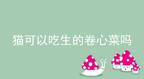 猫可以吃生的卷心菜吗_猫可以吃葡萄吗_爆炒卷心菜粉条的做法