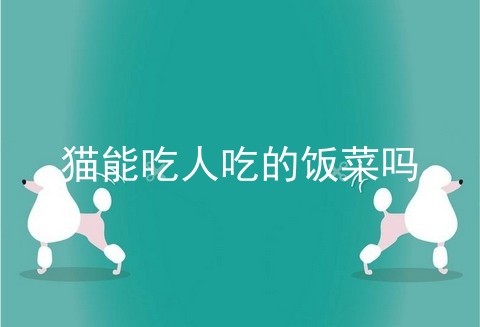 猫能吃人吃的饭菜吗_猫最爱吃的10种食物_不小心吃了一下猫舔过的食物