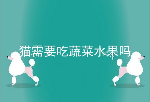 猫需要吃蔬菜水果吗_猫吃番薯紫薯_猫可以吃水果吗