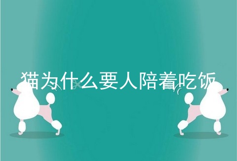 猫为什么要人陪着吃饭_为什么猫吃饭要人看着_猫吃东西必须要人陪