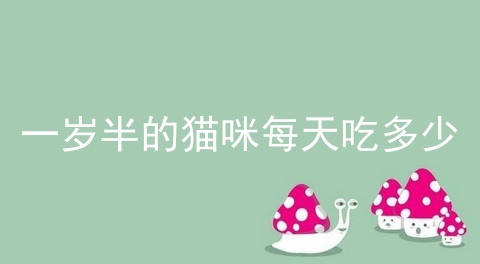 一岁半的猫咪每天吃多少_猫咪多吃什么好_猫吃牛磺酸过量的危害