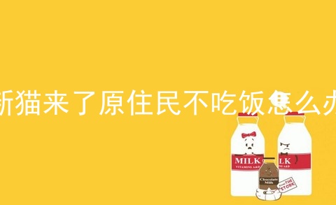 新猫来了原住民不吃饭怎么办_家里来了新猫为什么老猫凶主人_打了猫咪一次 它几天能忘了仇