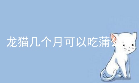 龙猫几个月可以吃蒲公英_龙猫可以吃蒲公英吗_龙猫喜欢吃蒲公英